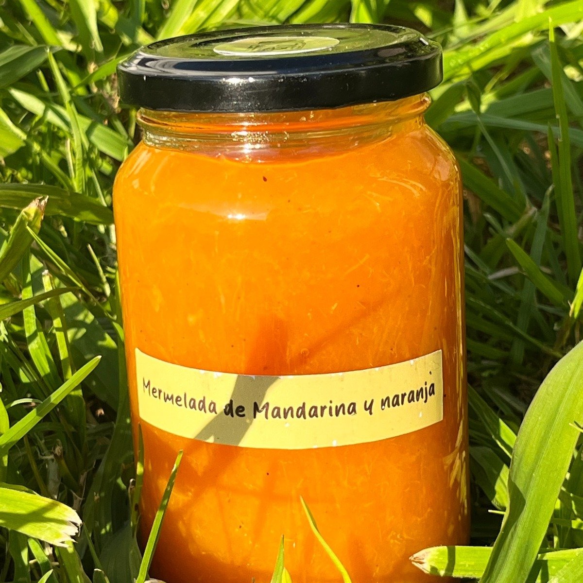 Mermelada de mandarina y naranjas