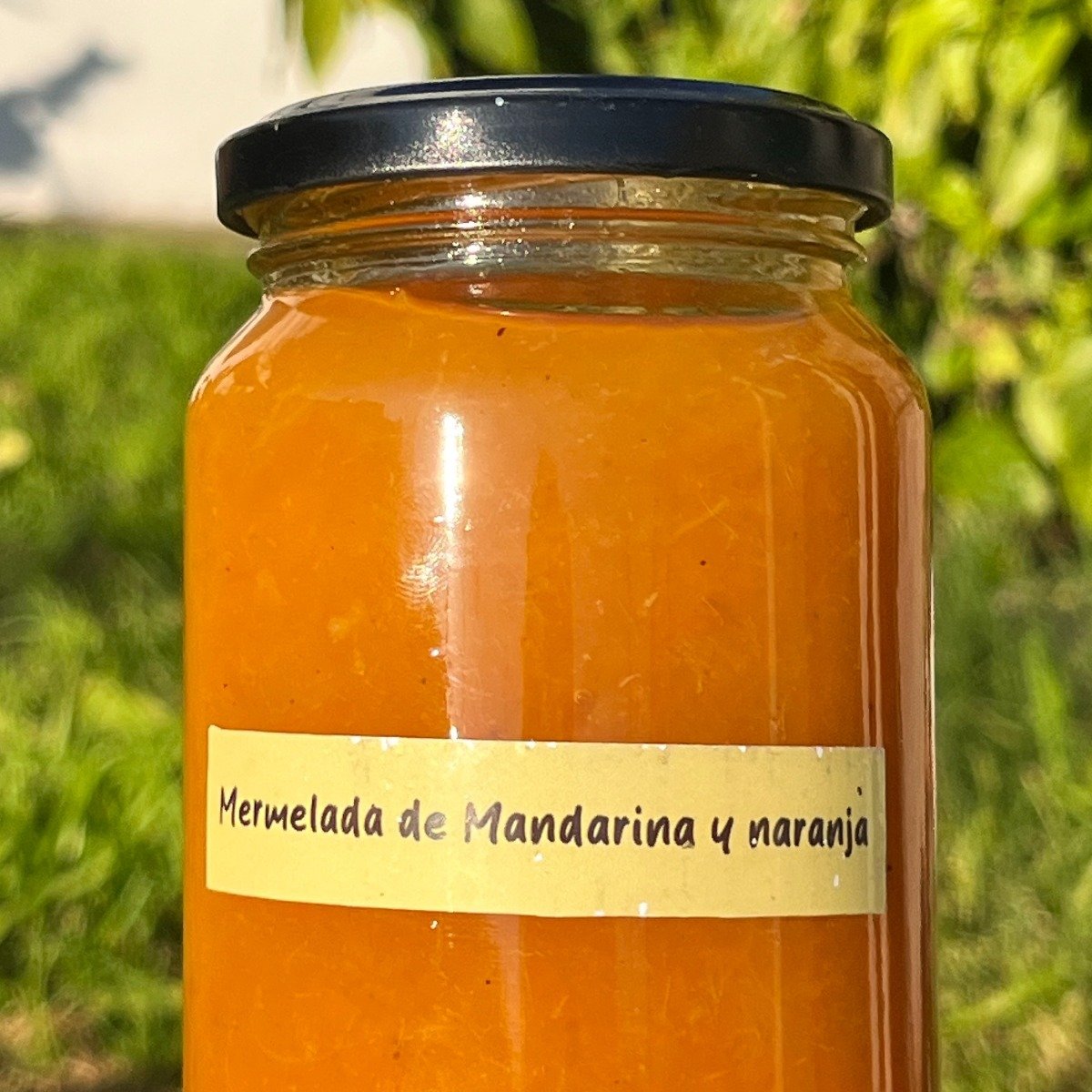 Mermelada de mandarina y naranjas