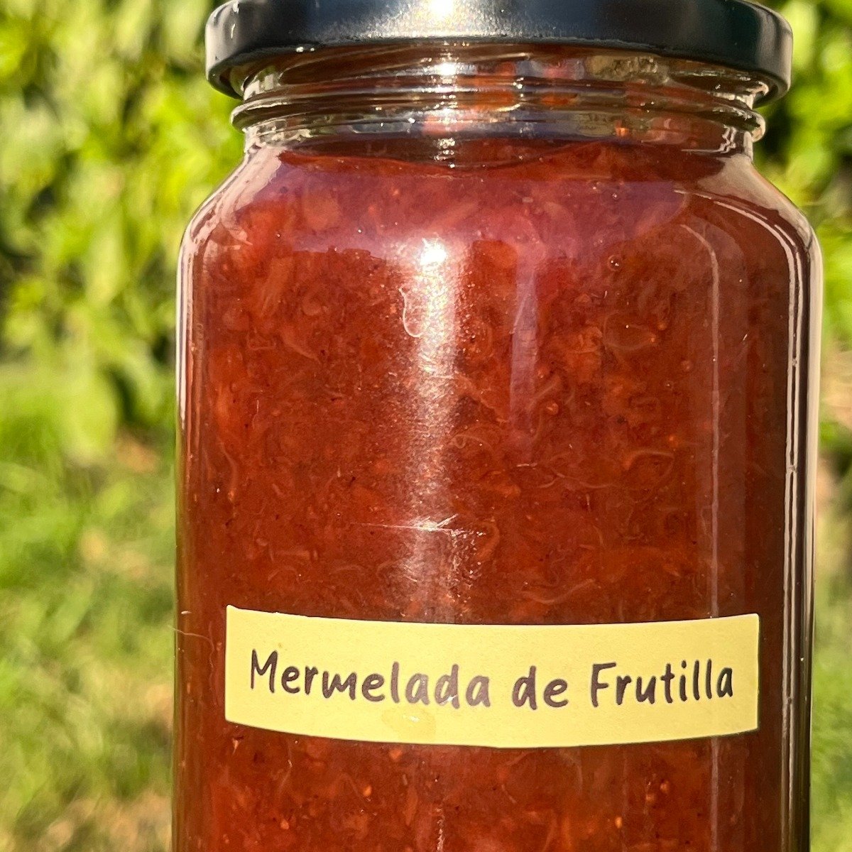 Mermelada de frutilla y manzanilla