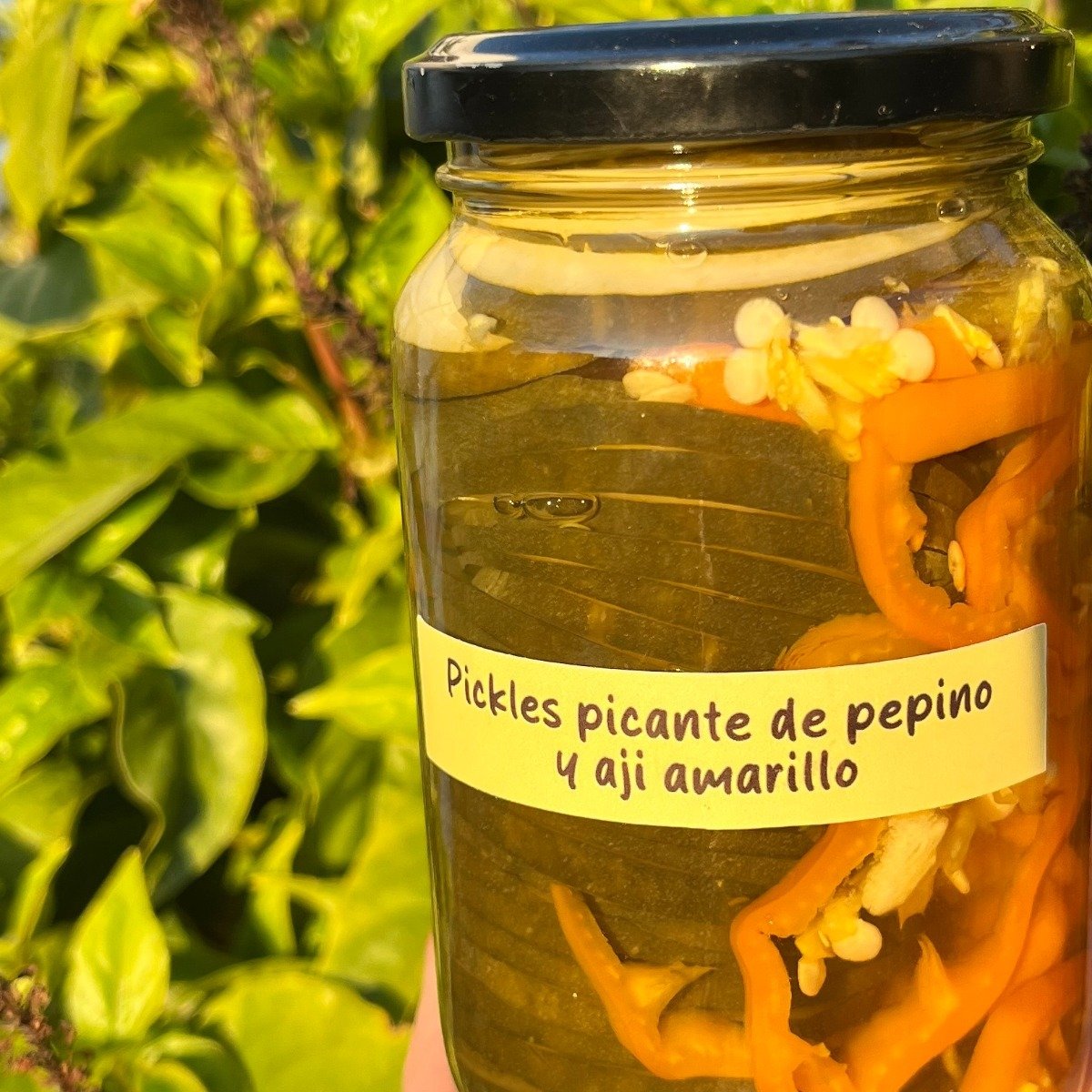 Pickles de pepino picante