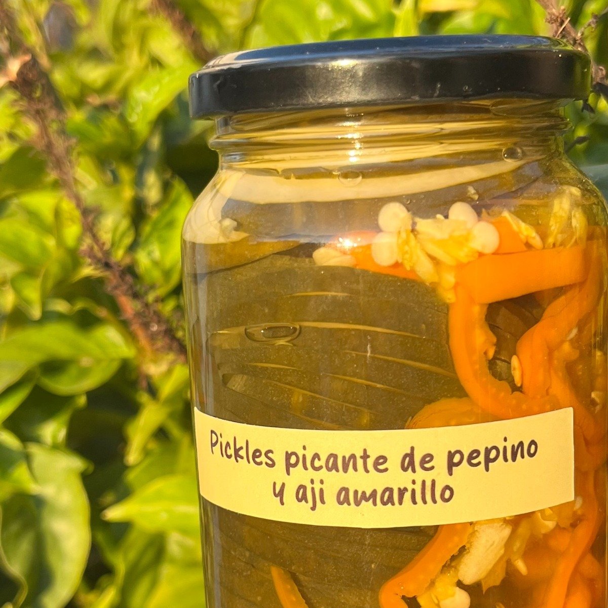 Pickles de pepino picante