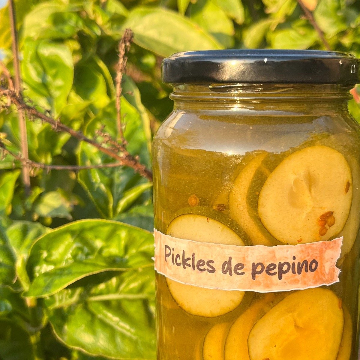 Pickles de pepino