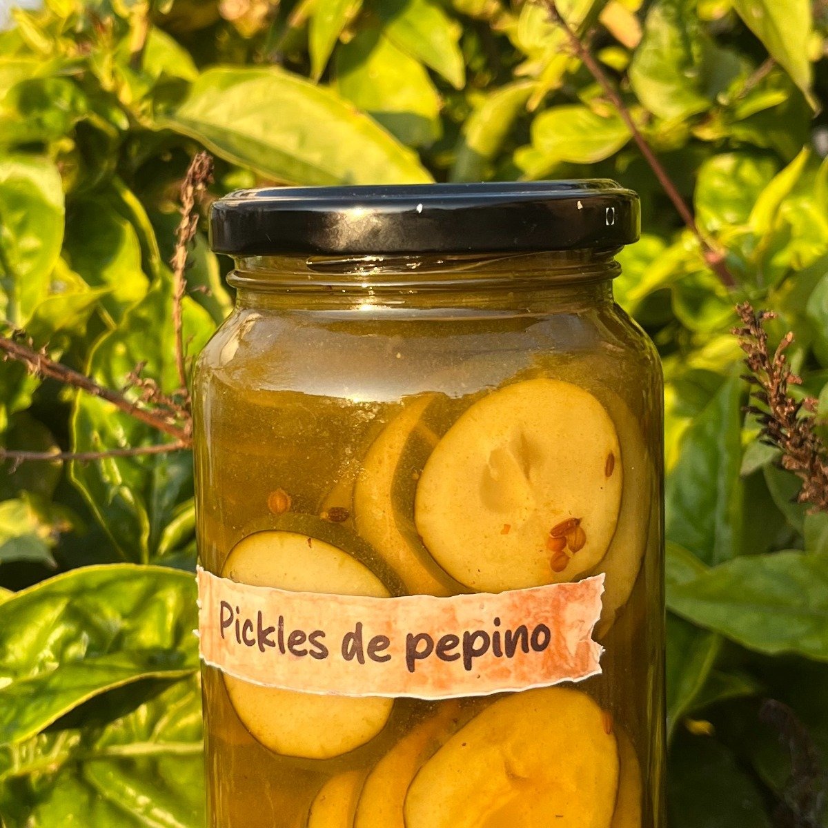 Pickles de pepino